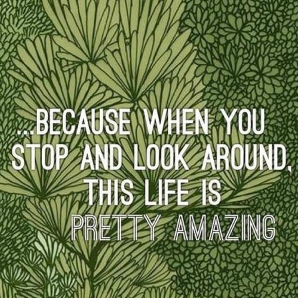 🌟Boyfriend Straight size 0 Jeans - Picture 13 of 16